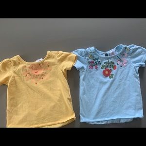 Hannah Andersson toddler girl tees Sz 85 (2T)